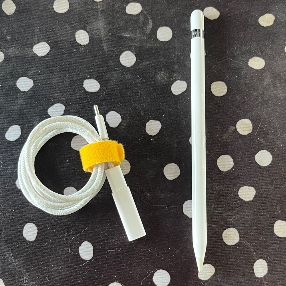 Apple Pencil 1st Gen with charging cable and adapter.